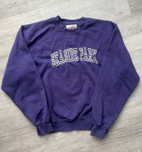 Load image into Gallery viewer, Vintage Seaside Park Embroidered Crewneck

