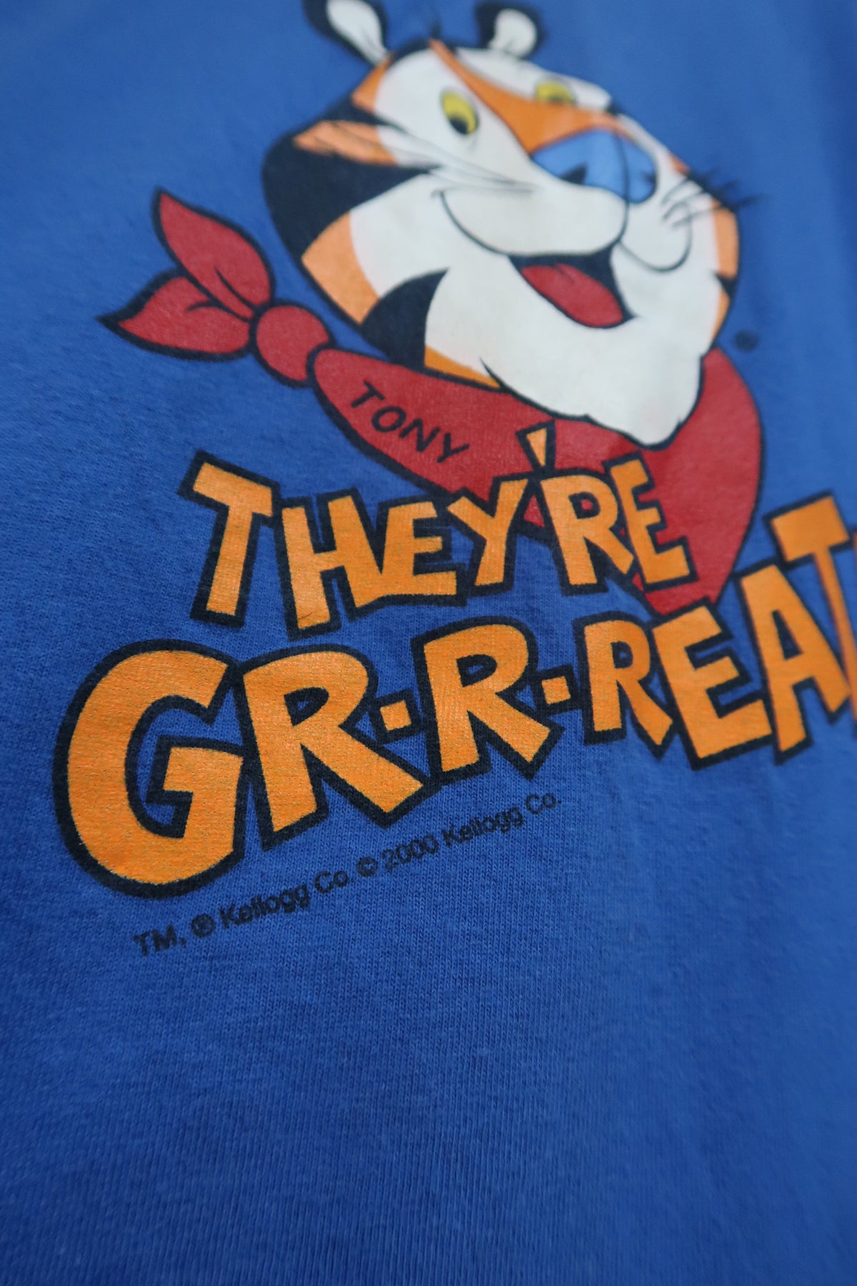 Men's vintage 2000s Tony the Tiger graphic T-shirt by Elektra Vintage, featuring bold tiger imagery and classic retro style.