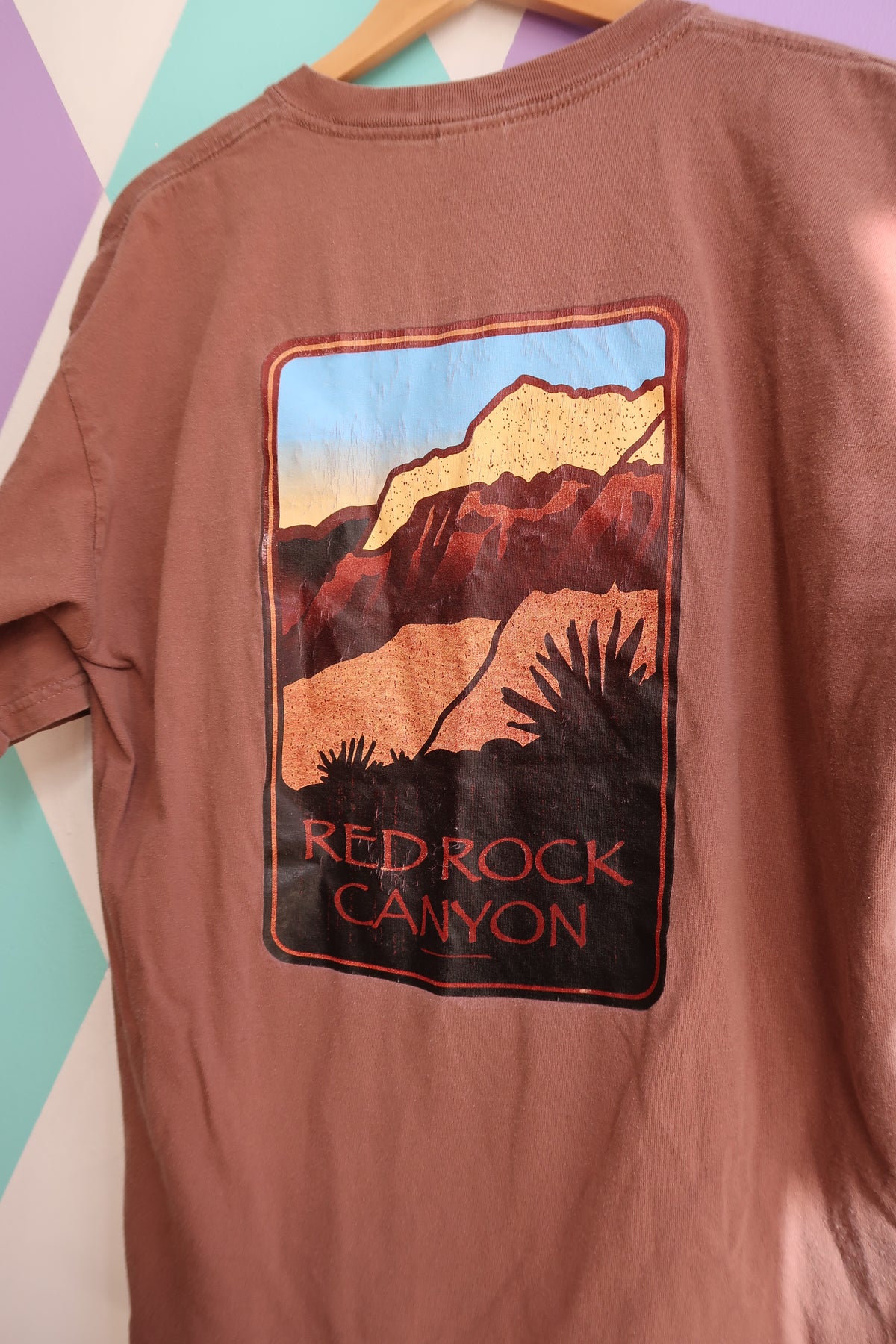 Vintage 2000s Red Rock Canyon Graphic Tee - Elektra Vintage