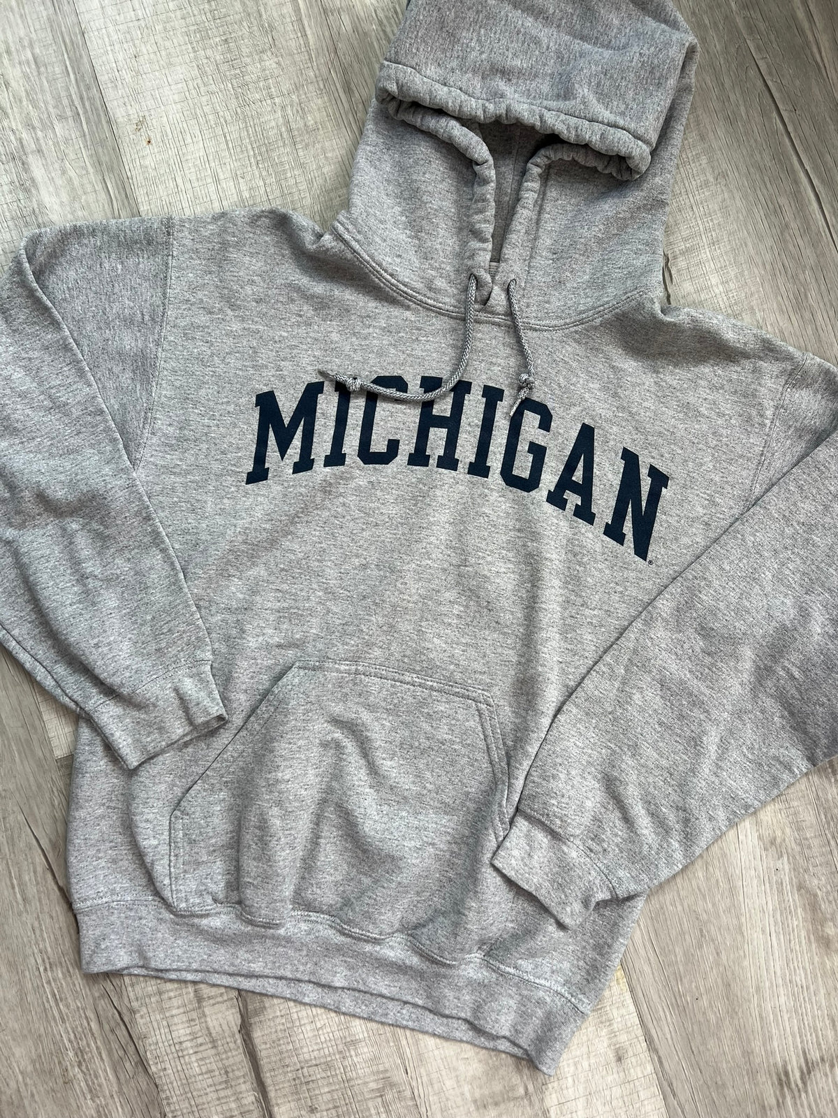 Vintage 2000s University of Michigan hoodie by Elektra Vintage, featuring official university logo and comfortable fabric.