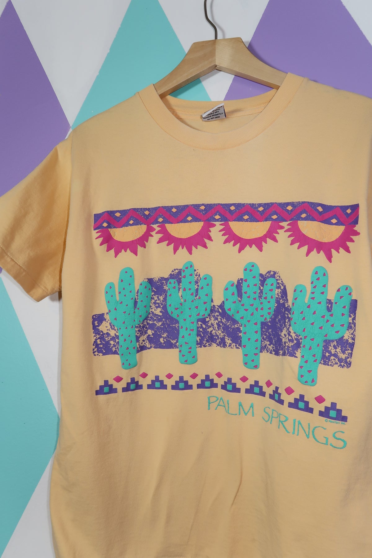 Vintage 90s Palm Springs Cactus Graphic Tee - Elektra Vintage