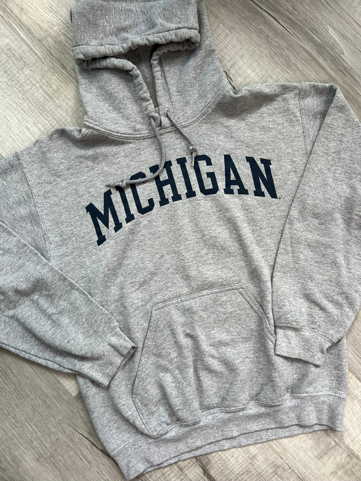 Elektra Vintage 2000s University of Michigan hoodie in navy with university logo and lettering, casual and comfortable sweatshirt.