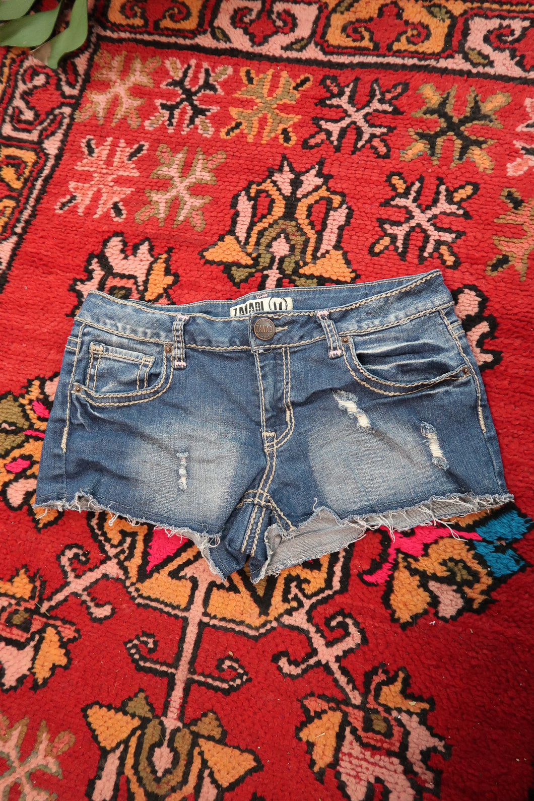 Y2K Zana Di Distressed Denim Shorts – Low Rise Cutoff Jean Shorts