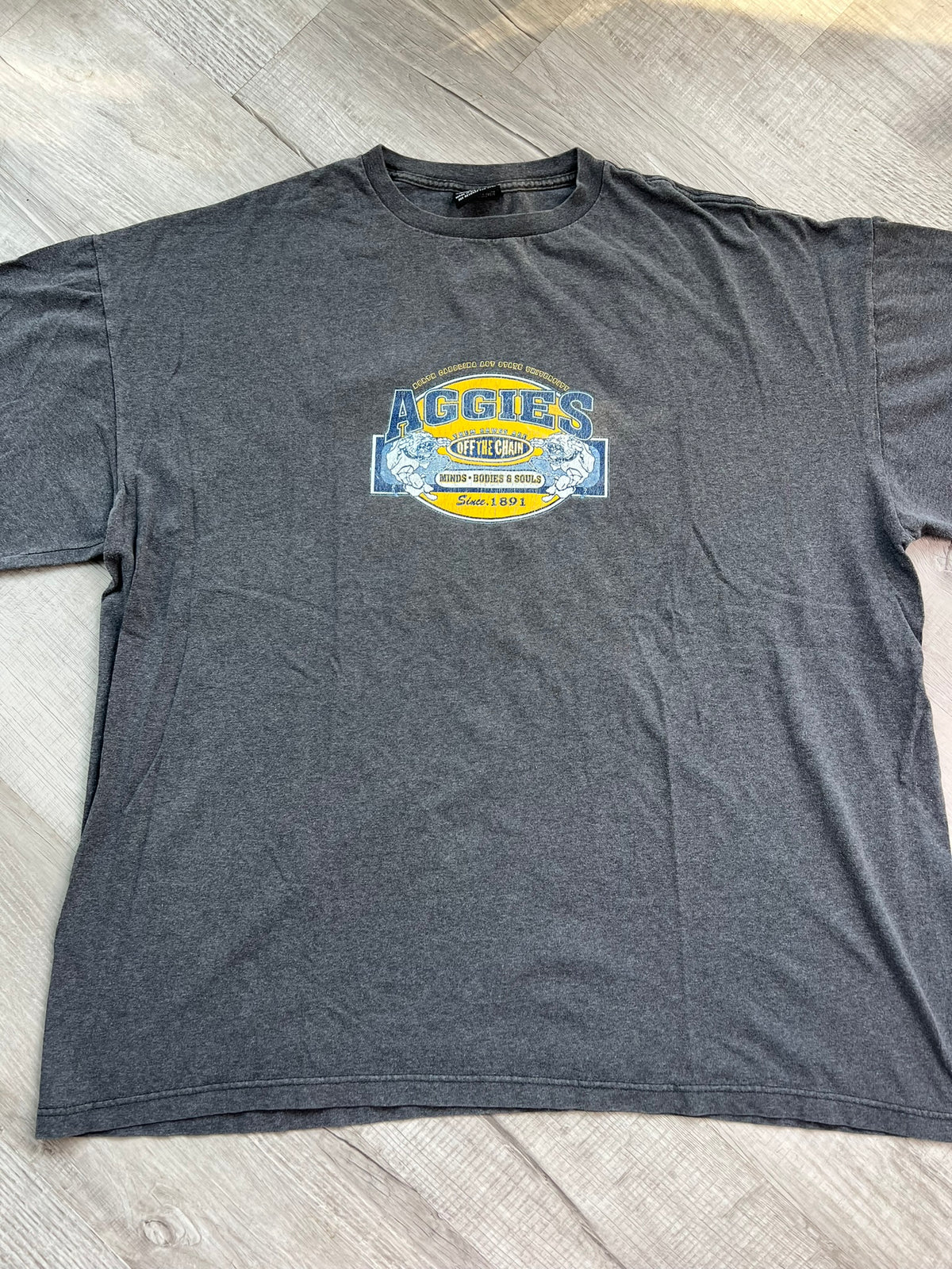 Vintage NC A&T Aggies graphic T-shirt by Elektra Vintage, featuring university logo and retro collegiate design.