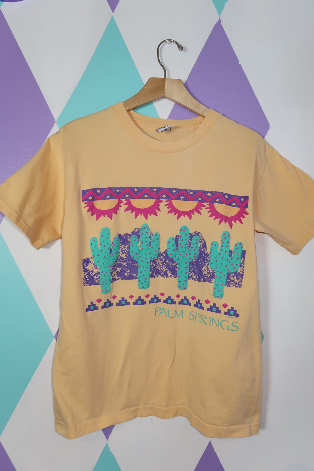 Vintage 90s Palm Springs Cactus Graphic Tee - Elektra Vintage