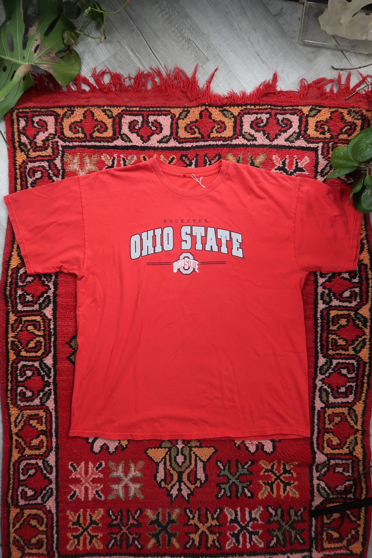Elektra Vintage Ohio State University graphic T-shirt featuring bold university logo and team colors, casual and comfortable fit.