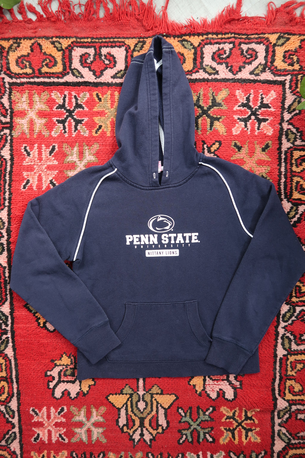 Penn State Graphic Hoodie