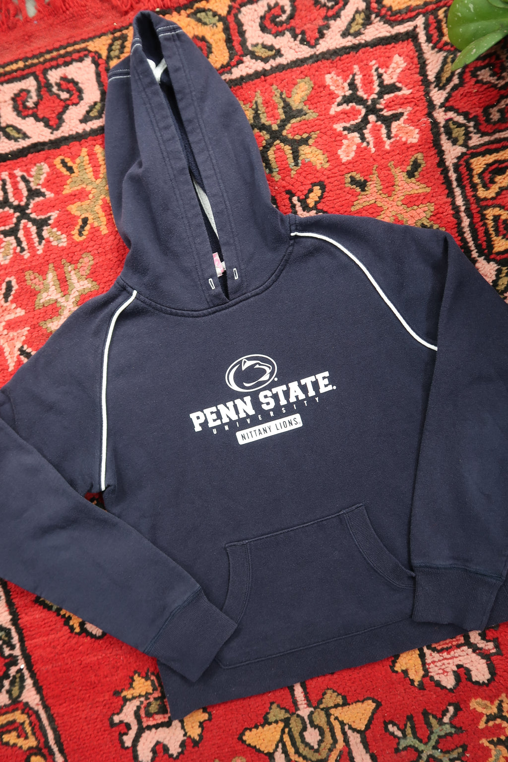Penn State Graphic Hoodie