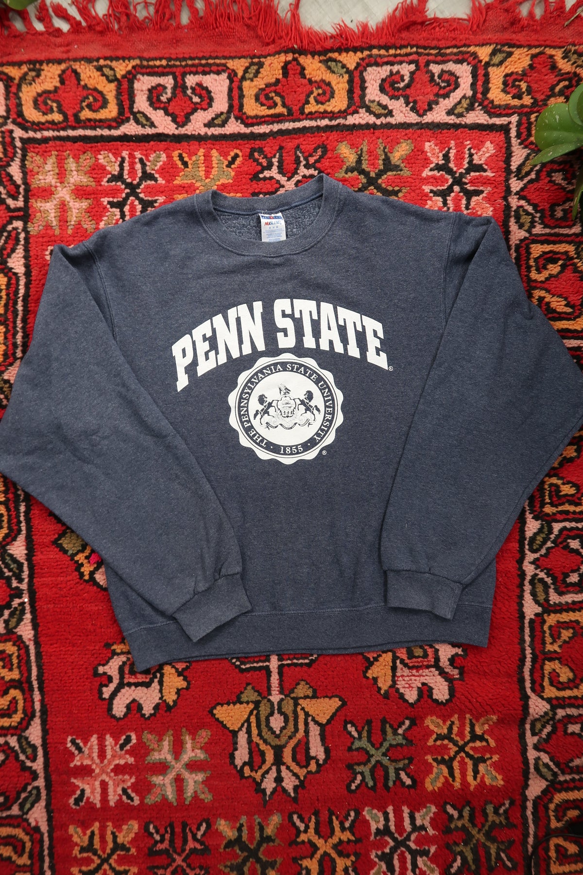 Penn State Logo Crewneck Sweatshirt