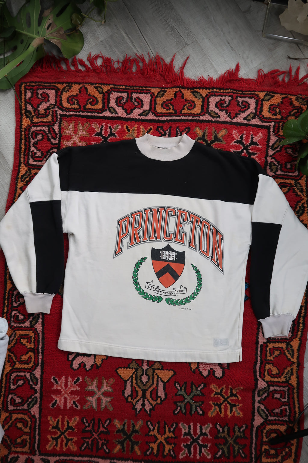 Princeton Colorblock mockneck sweatshirt