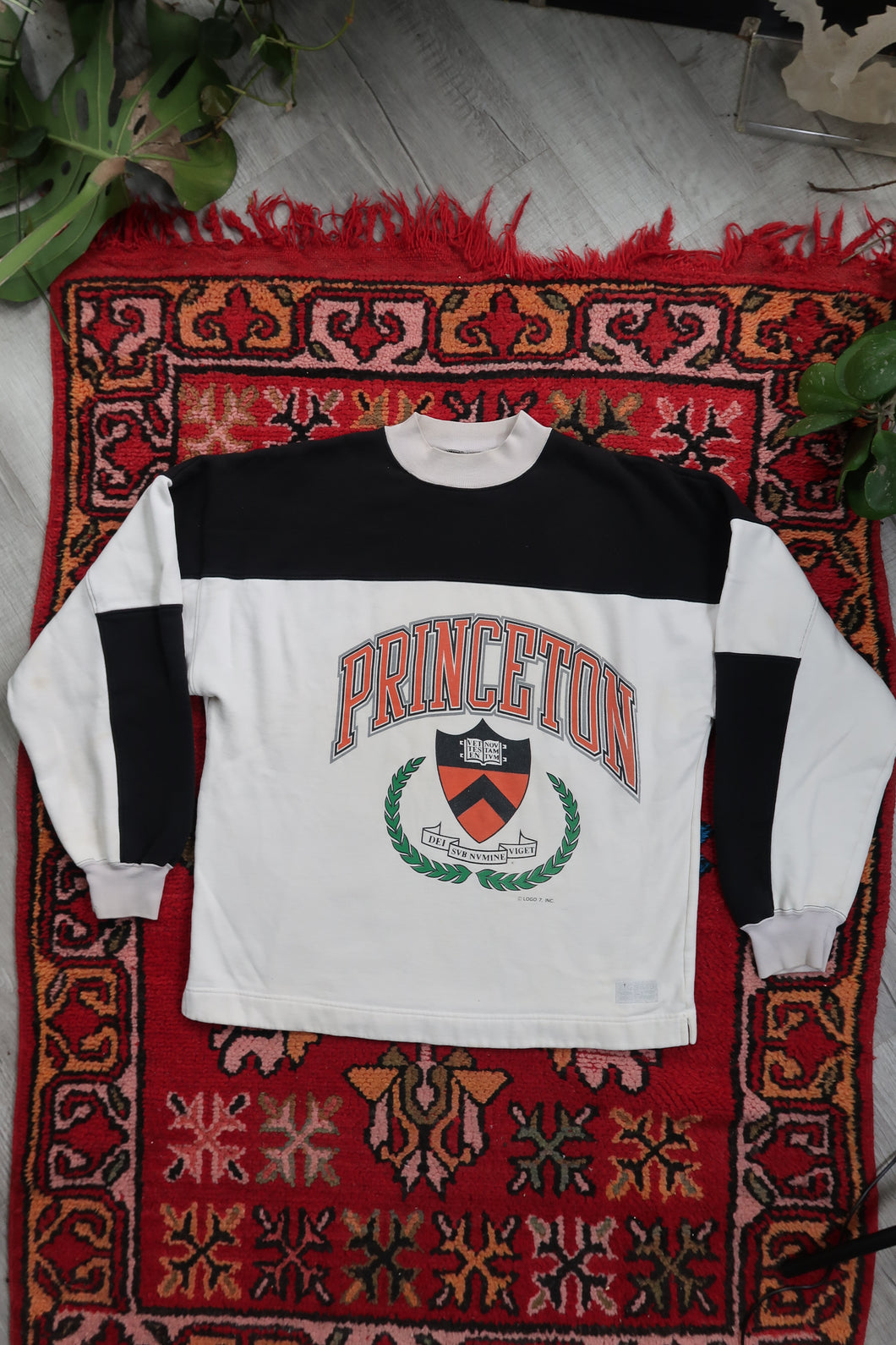 Princeton Colorblock mockneck sweatshirt
