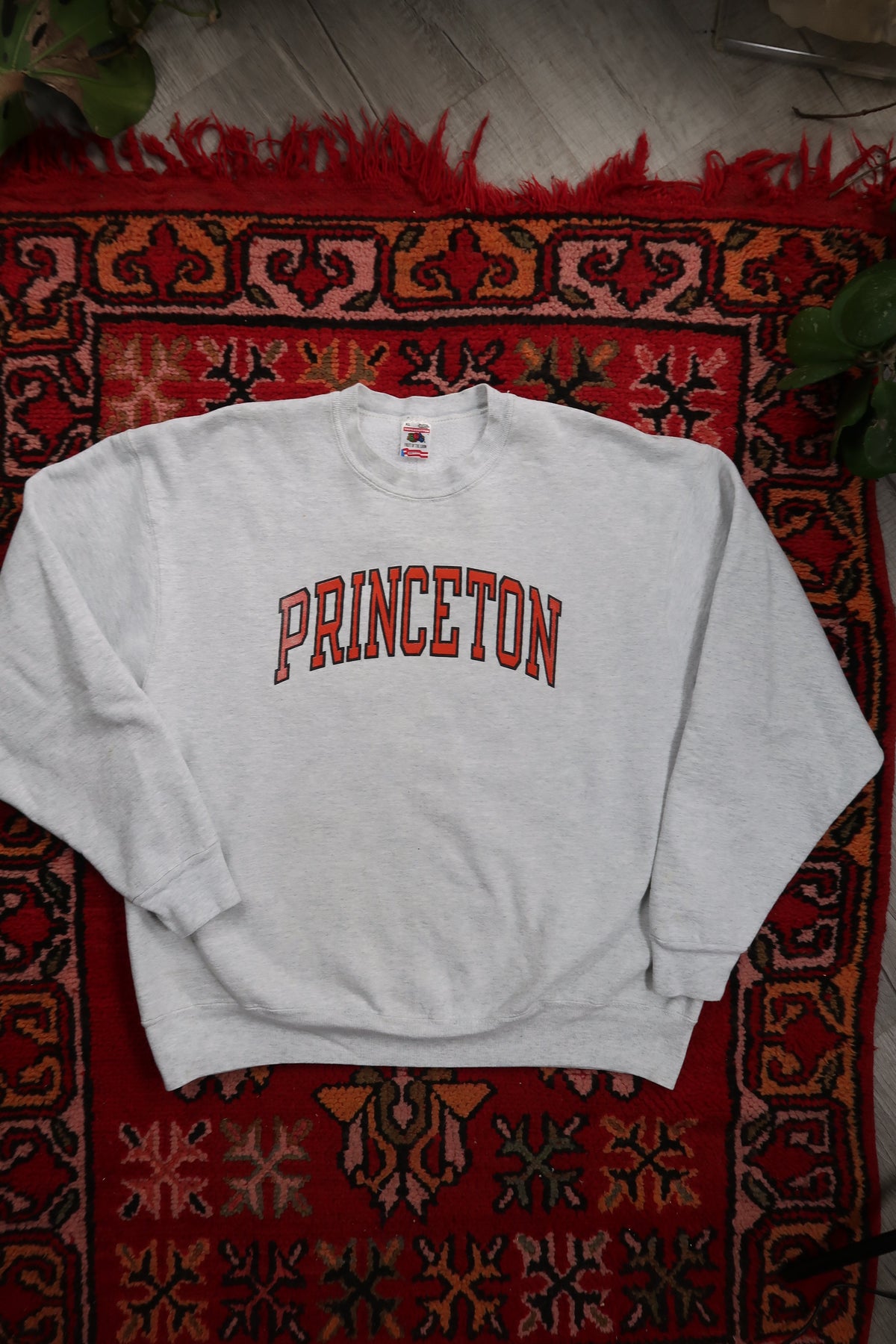 Princeton Crewneck sweatshirt