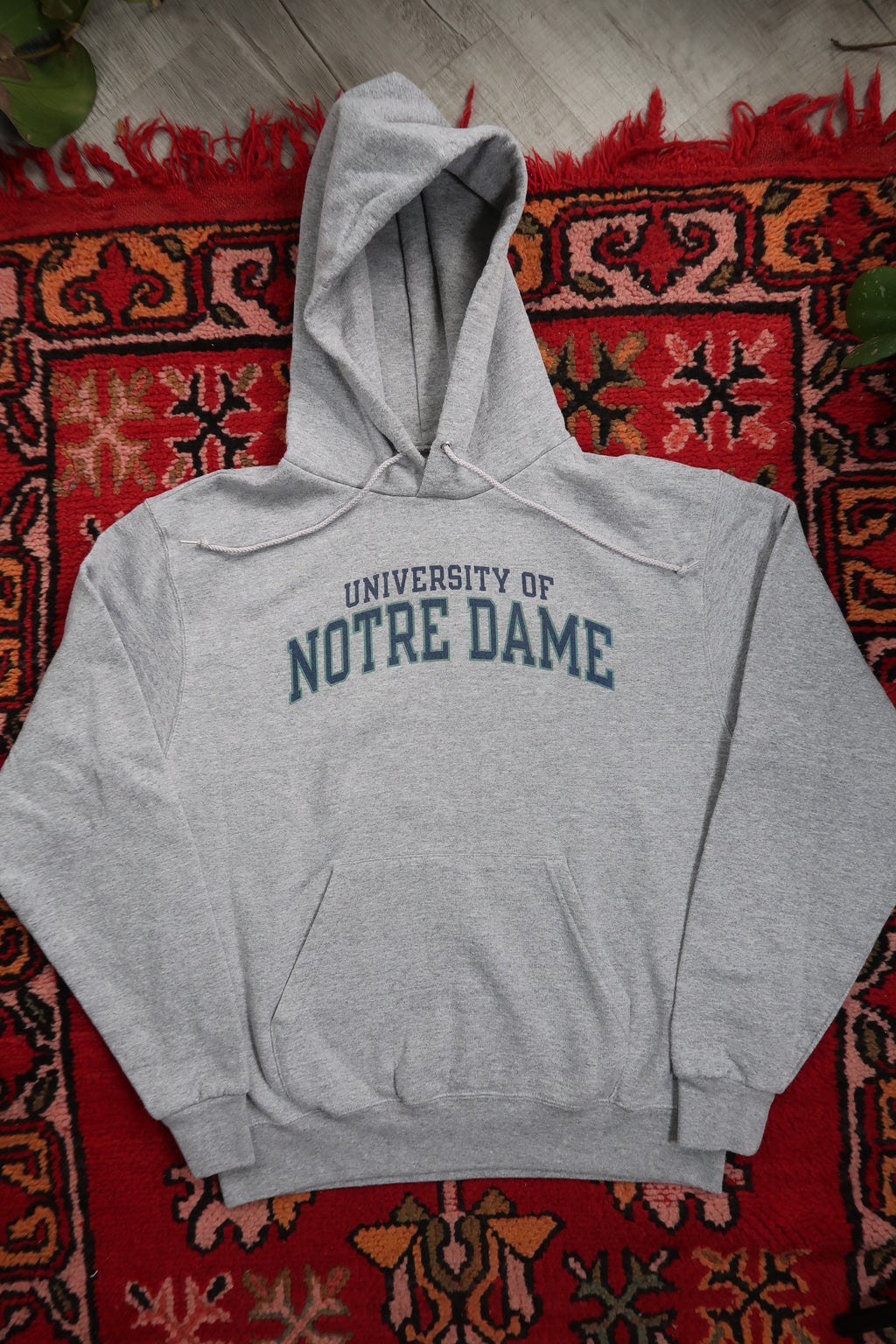 Vintage Notre Dame hoodie - Elektra Vintage