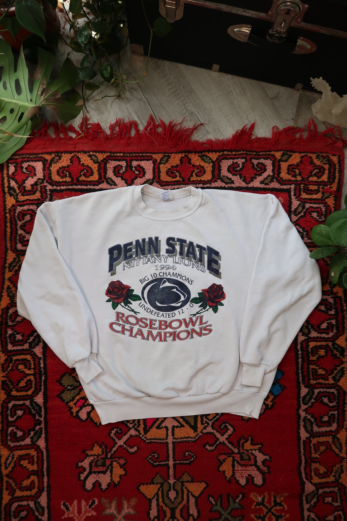 Vintage 1990s Penn State Rose Bowl Champions crewneck sweatshirt by Elektra Vintage, featuring bold team graphics and classic design.