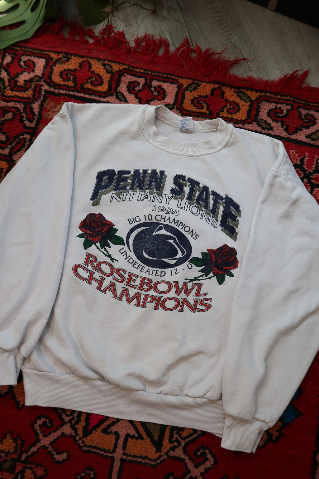Vintage 1990s Penn State Rose Bowl Champions crewneck sweater by Elektra Vintage, featuring classic team logo and retro design.