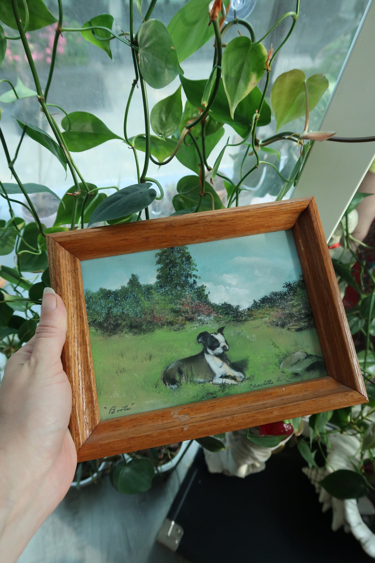 Person holding a framed picture of a dog in a garden with greenery in the background