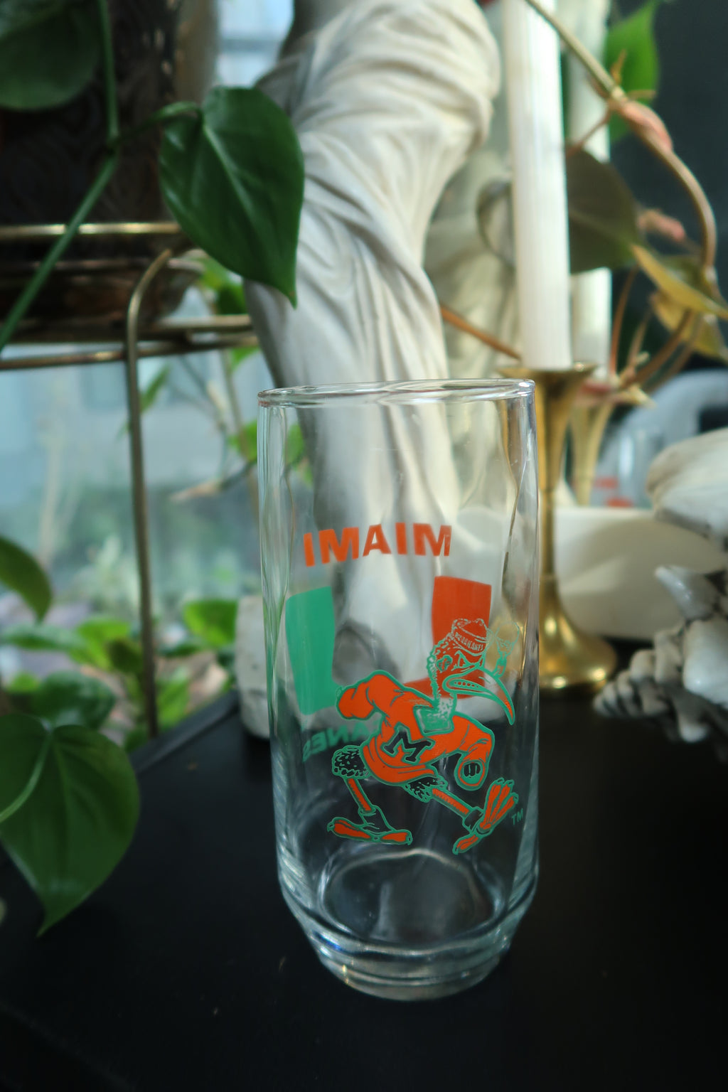 Vintage University of Miami Hurricanes Tall Glass