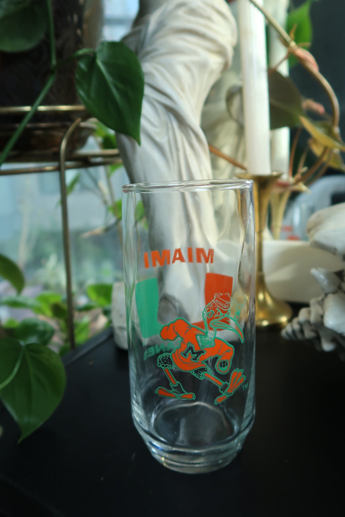 Vintage University of Miami Hurricanes Tall Glass