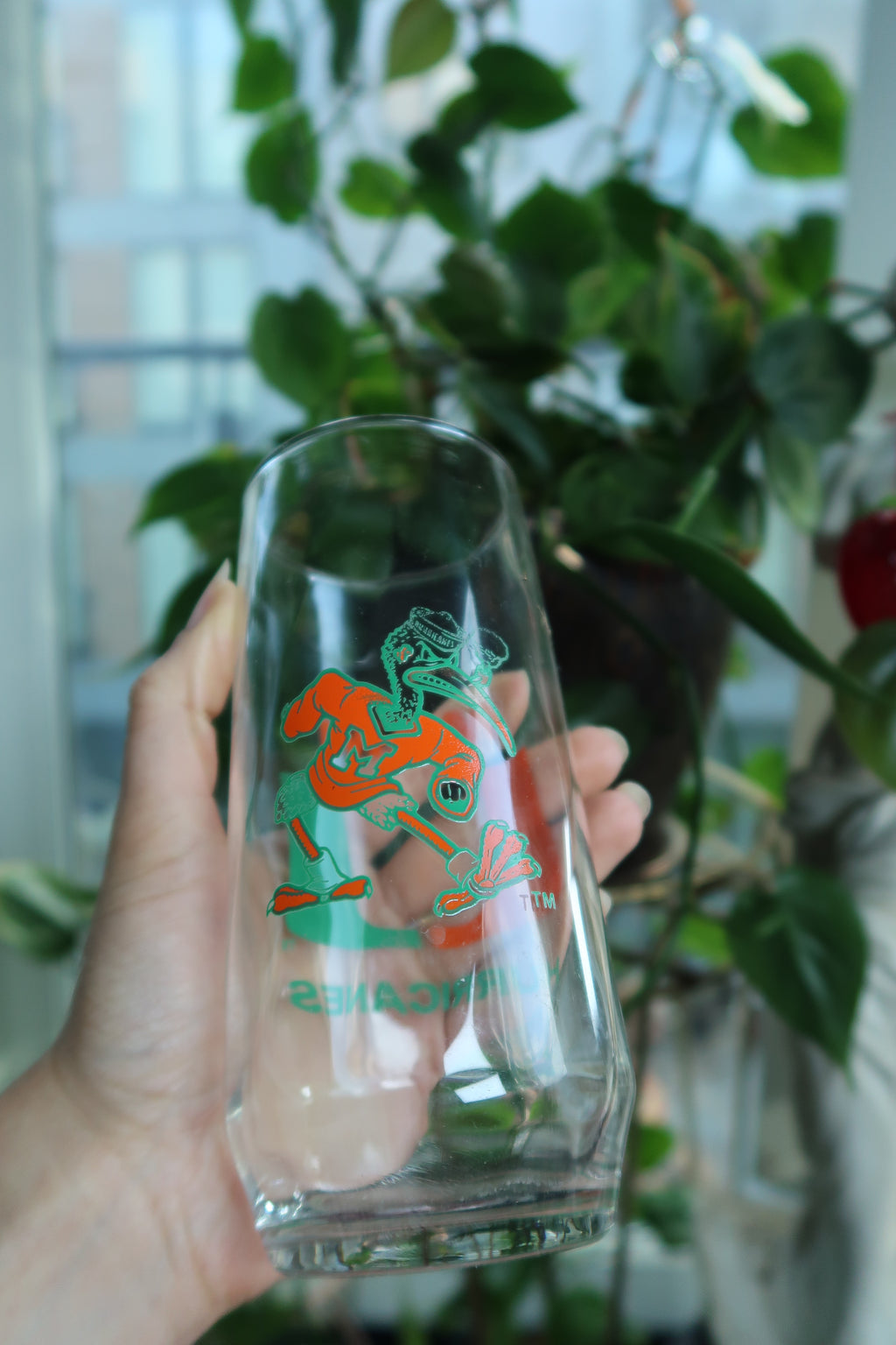 Vintage University of Miami Hurricanes Tall Glass