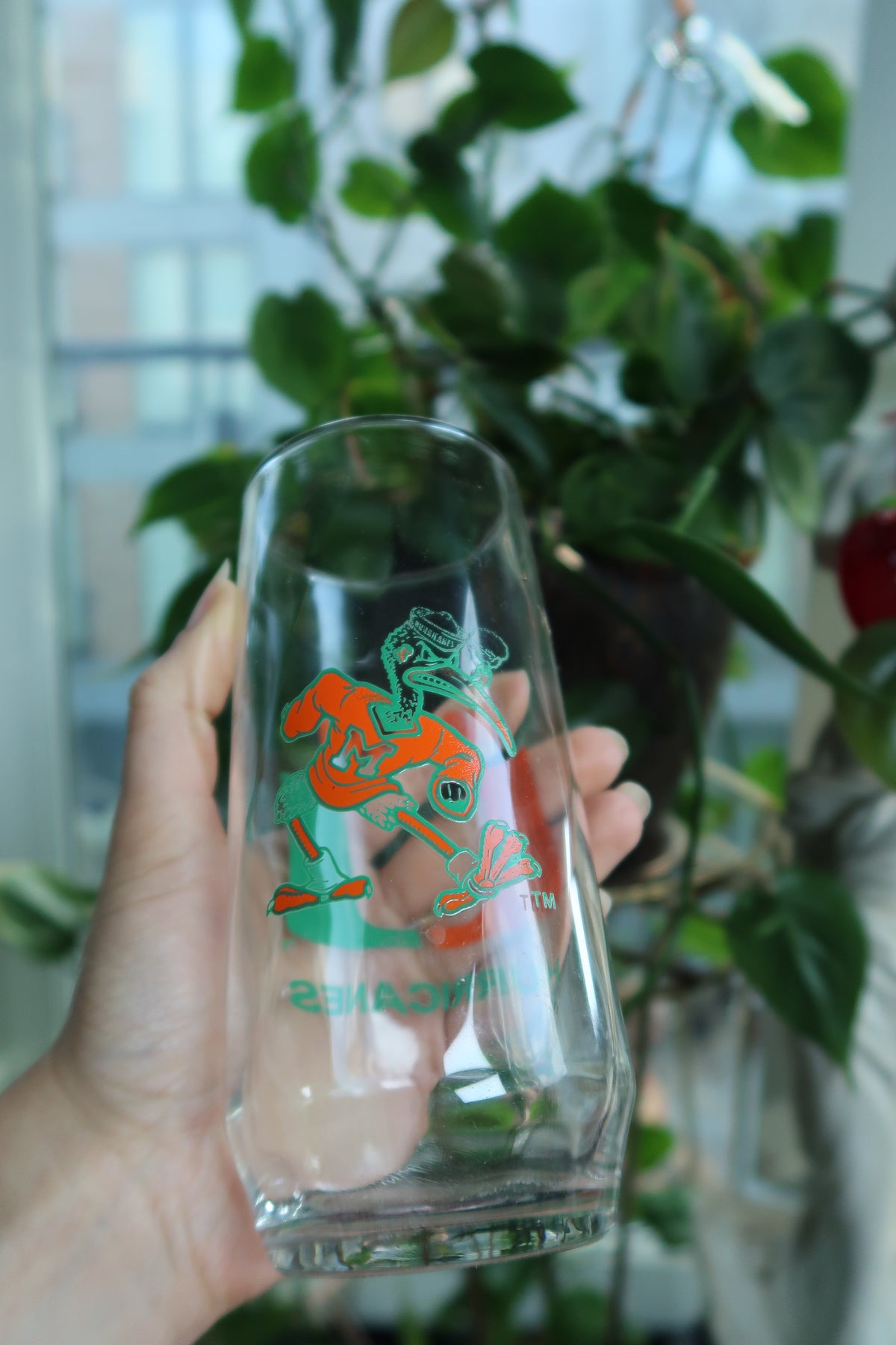 Vintage University of Miami Hurricanes Tall Glass