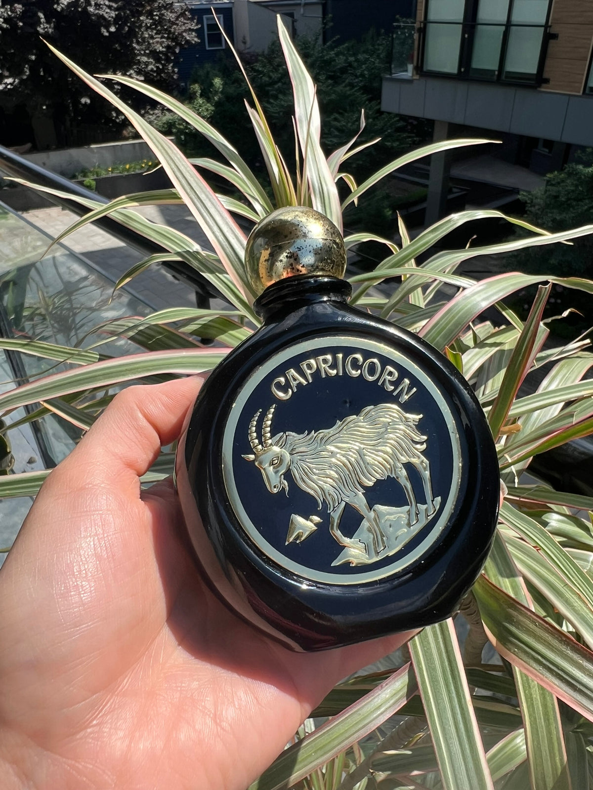 1975 Vintage Avon Capricorn Astrology Sign Cologne Bottle - Elektra Vintage