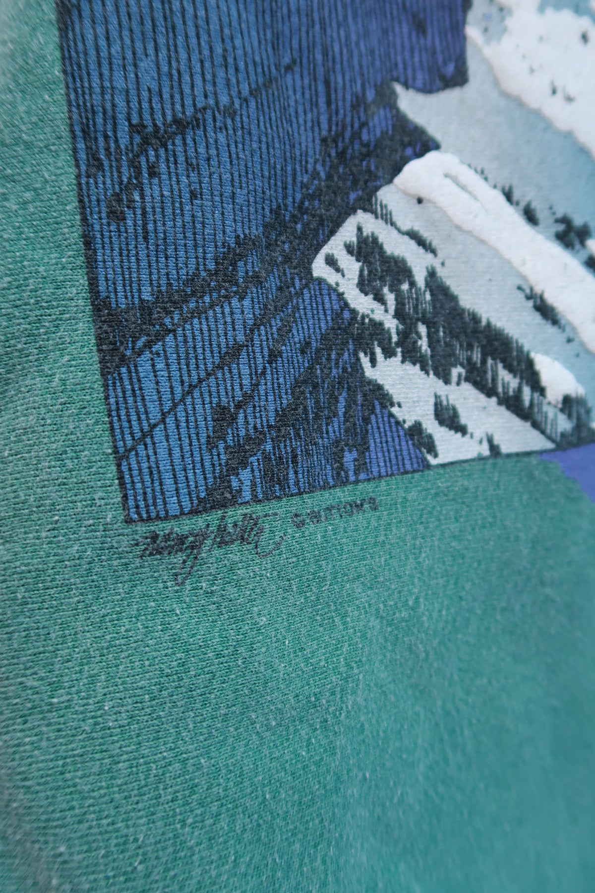 Vintage 1990s Telluride Colorado Mountain Graphic Crewneck Sweatshirt
