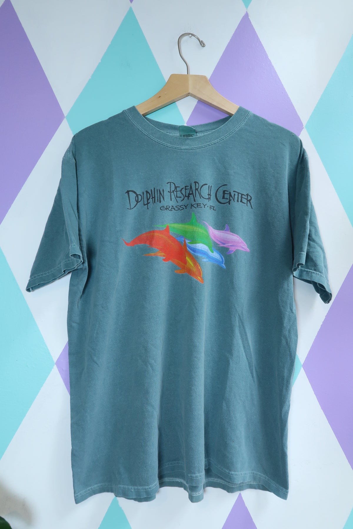 Vintage Dolphin Research Center Tee – Grassy Key, FL Rainbow Dolphin Graphic T-Shirt