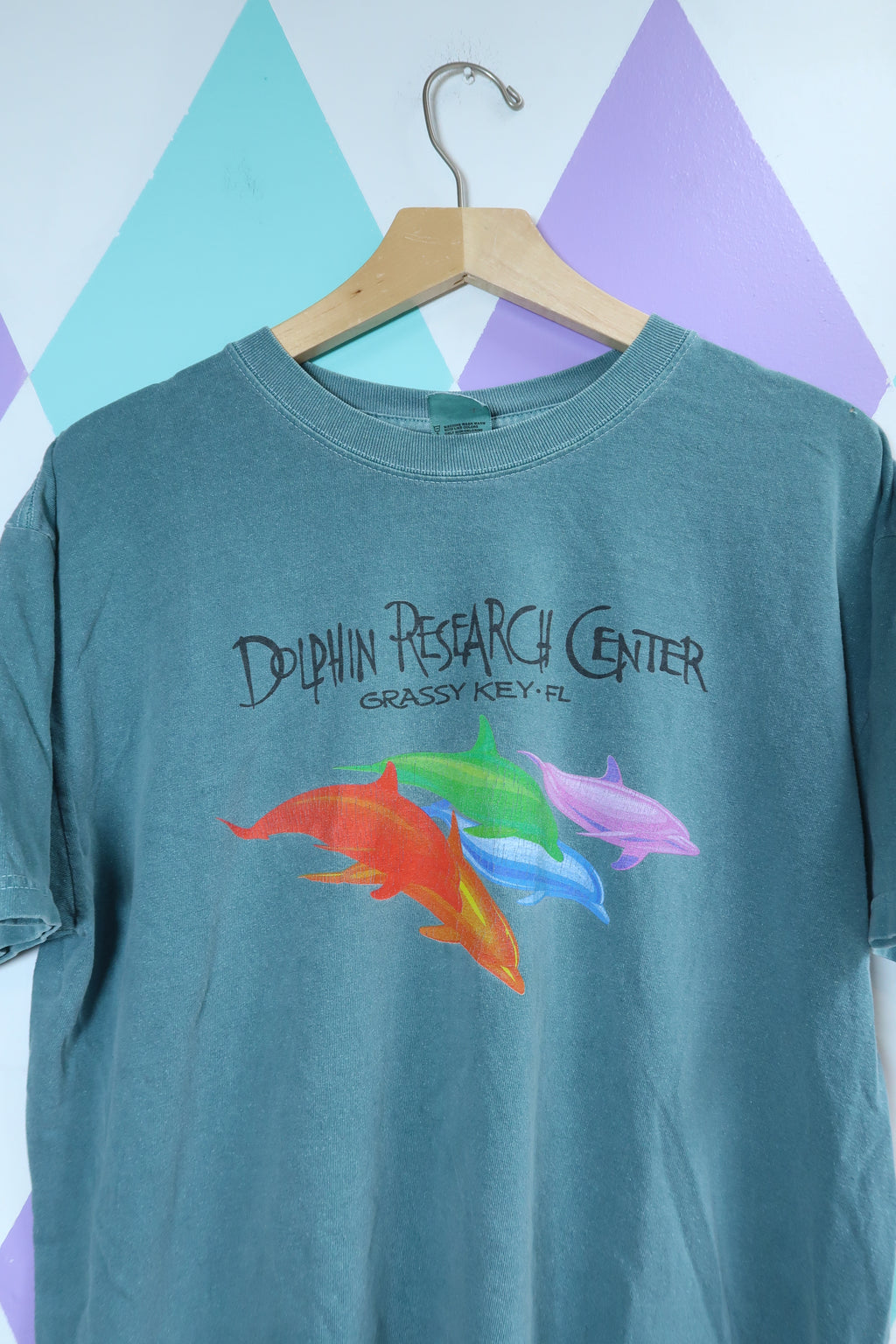 Vintage Dolphin Research Center Tee – Grassy Key, FL Rainbow Dolphin Graphic T-Shirt