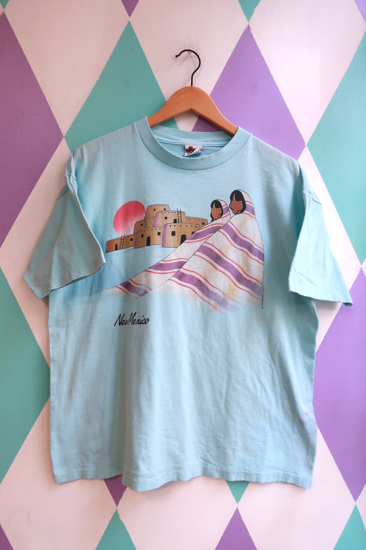 Vintage 90s New Mexico Desert Scene Graphic T-Shirt