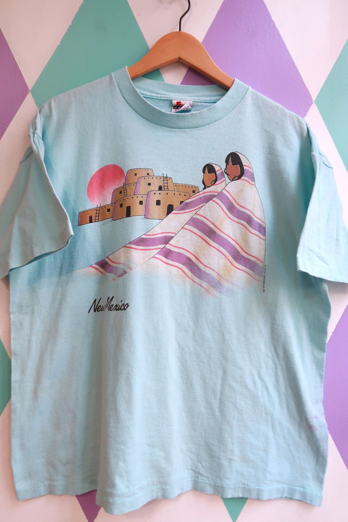 Vintage 90s New Mexico Desert Scene Graphic T-Shirt
