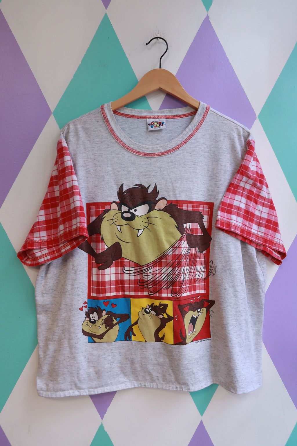 Vintage 90s Taz Looney Tunes graphic T-shirt with plaid sleeves, Elektra Vintage, featuring Taz cartoon print and colorful sleeve details.