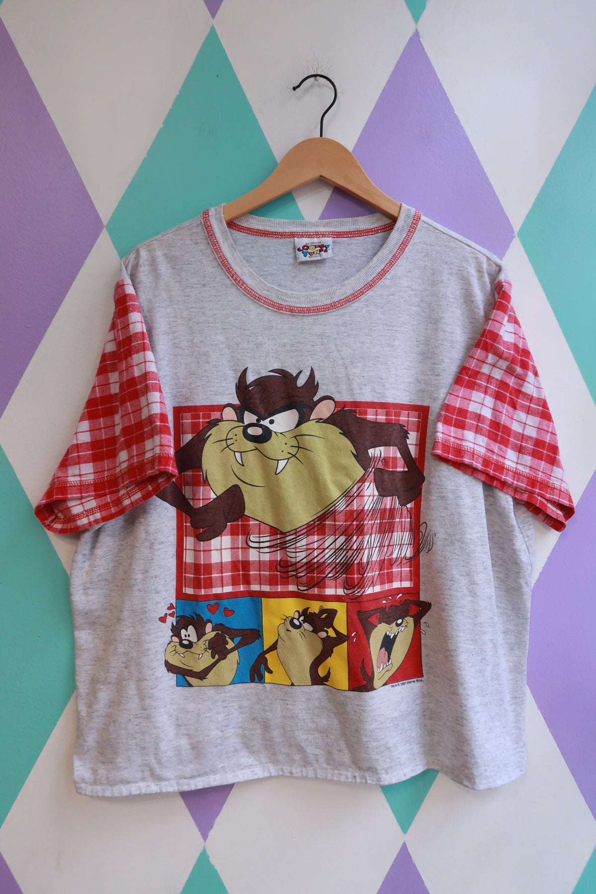 Vintage 90s Taz Looney Tunes Graphic T-Shirt with Plaid Sleeves