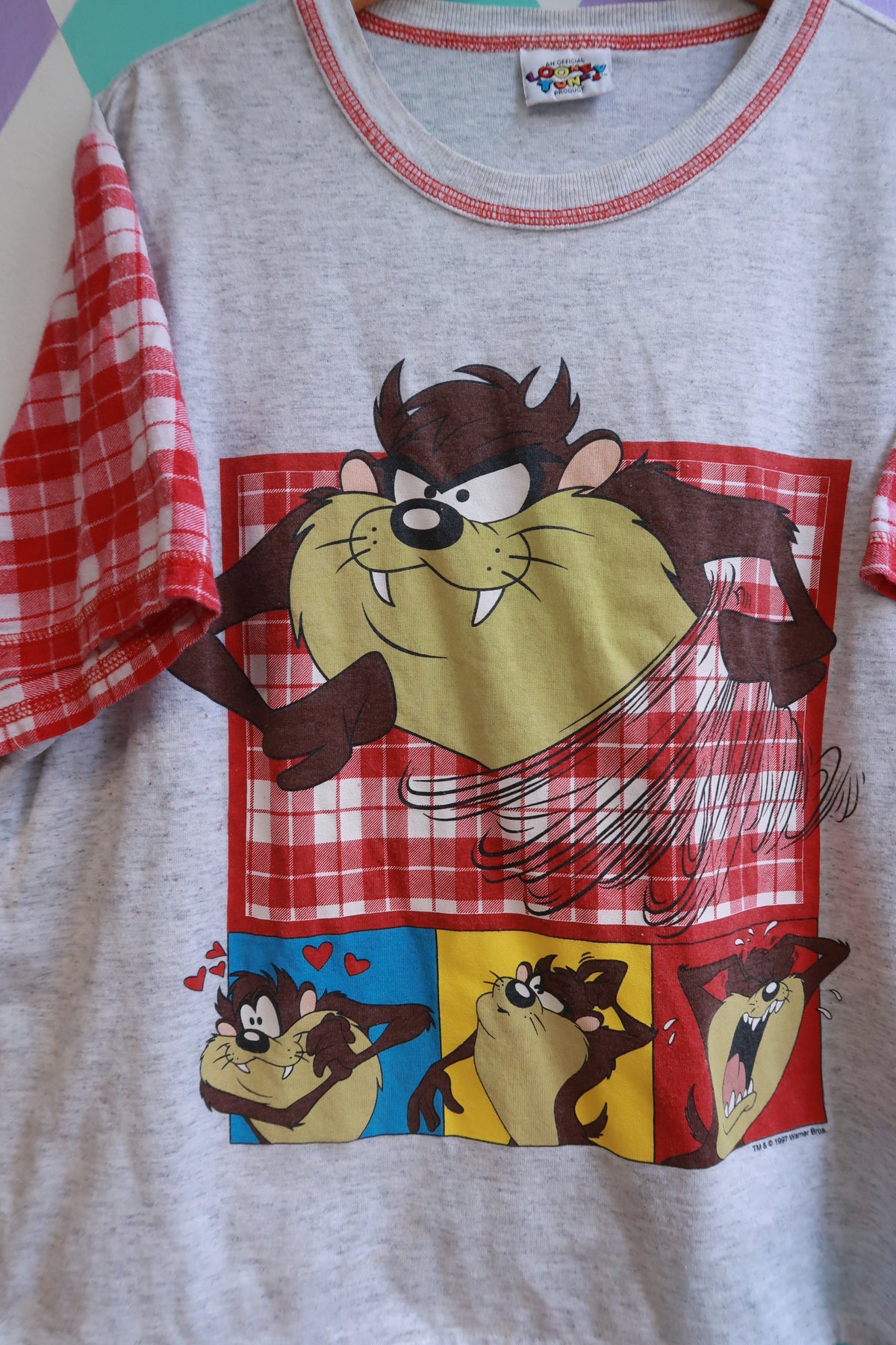 Vintage 90s Taz Looney Tunes graphic T-shirt by Elektra Vintage with plaid sleeves, featuring Taz character and colorful design.