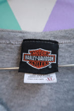 Load image into Gallery viewer, Vintage Harley-Davidson Gray Henley T-Shirt Brian’s Harley Davidson Langhorne PA Biker Tee
