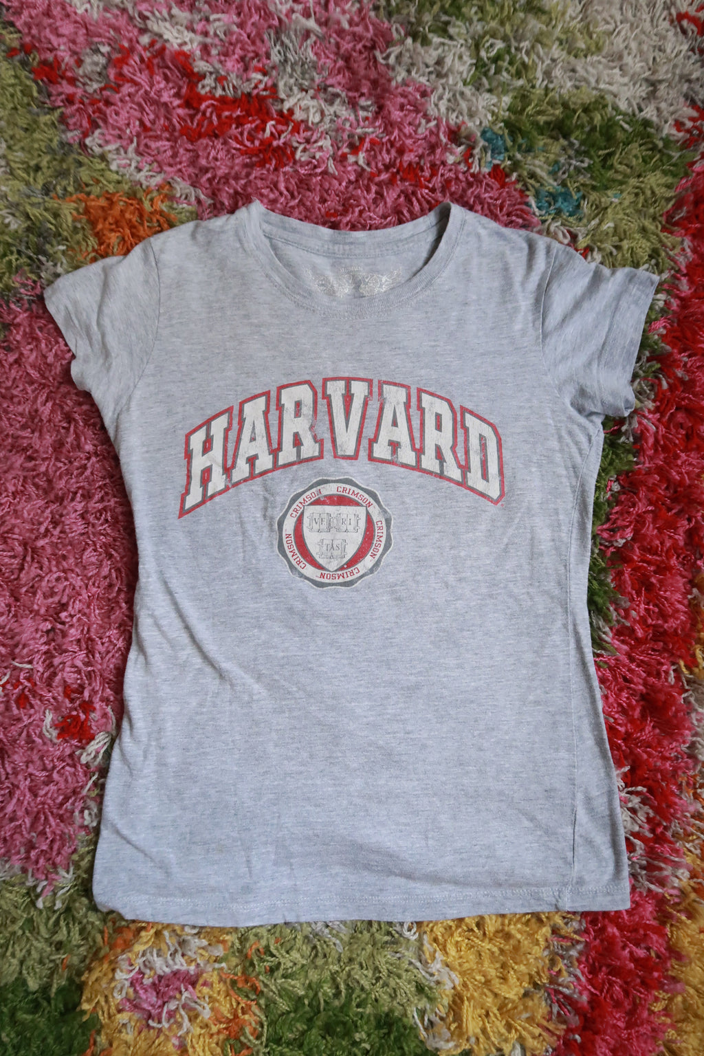Harvard University Gray Fitted Graphic T-Shirt Crimson Collegiate Baby Tee