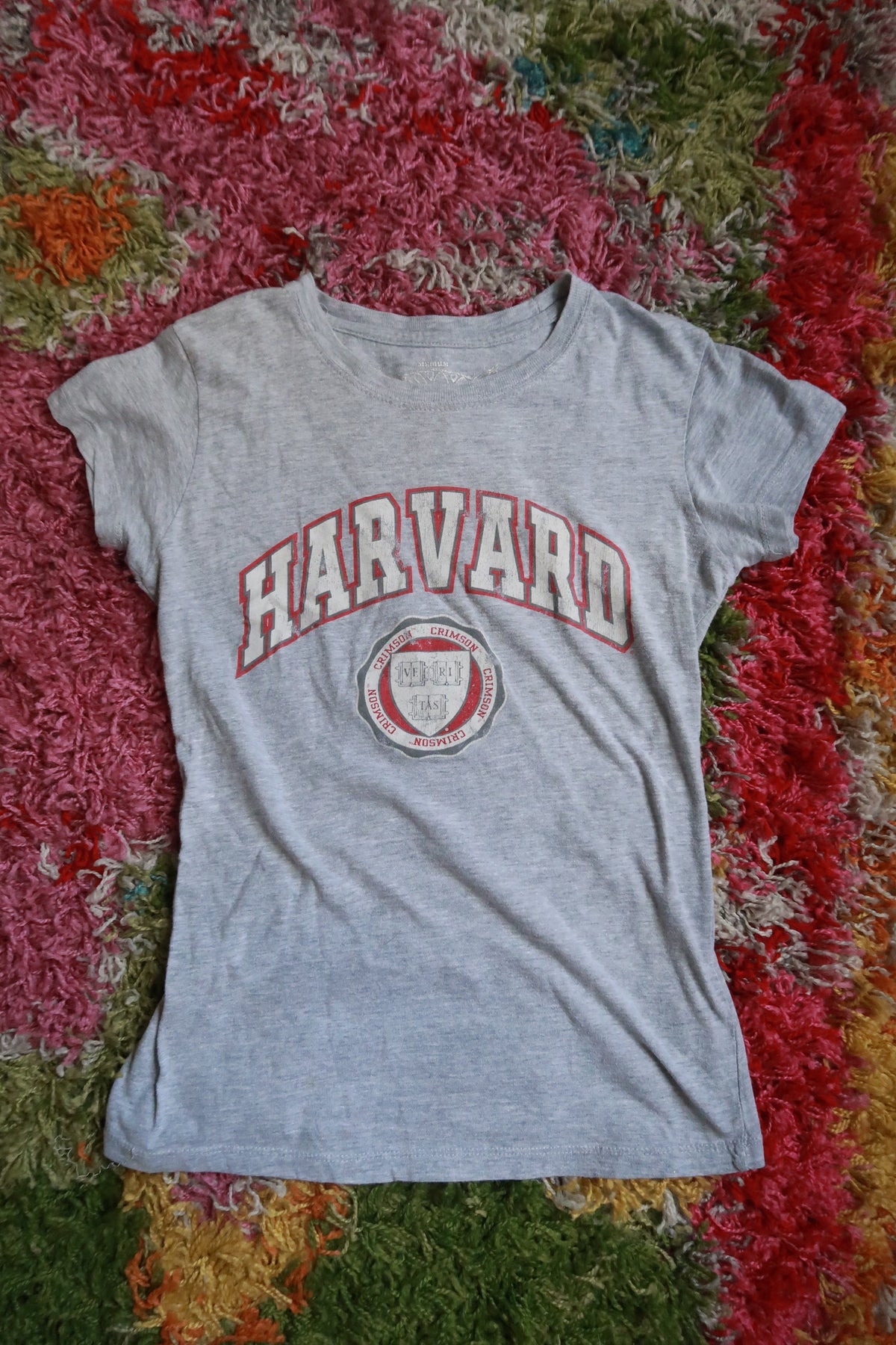 Harvard University Gray Fitted Graphic T-Shirt Crimson Collegiate Baby Tee