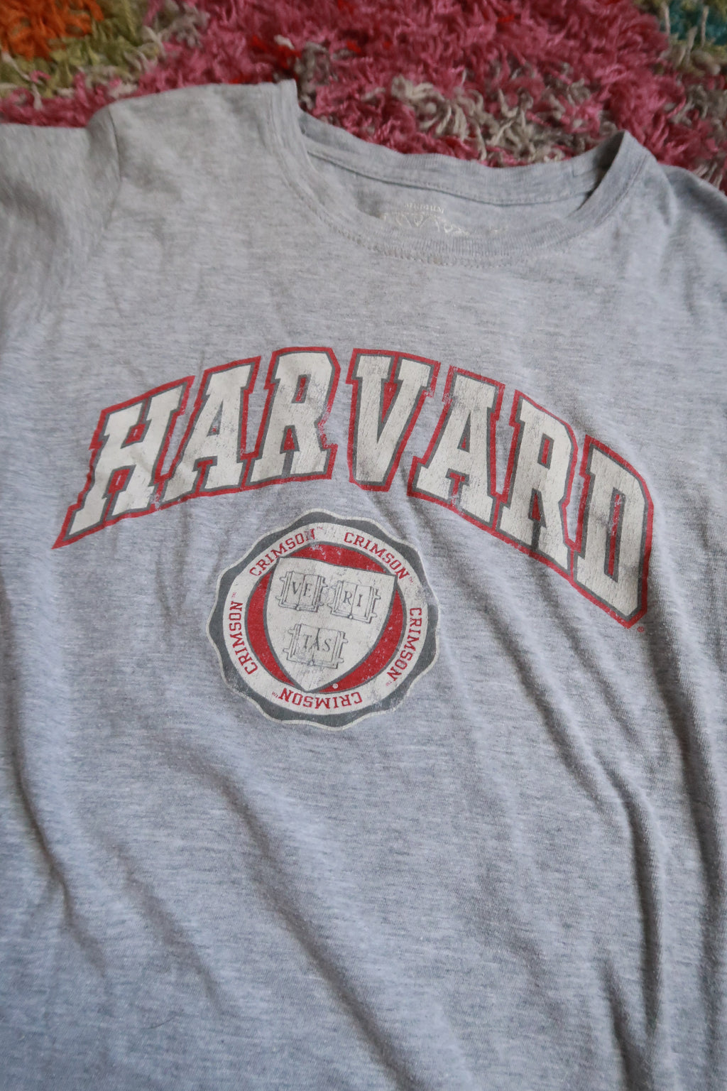 Harvard University Gray Fitted Graphic T-Shirt Crimson Collegiate Baby Tee