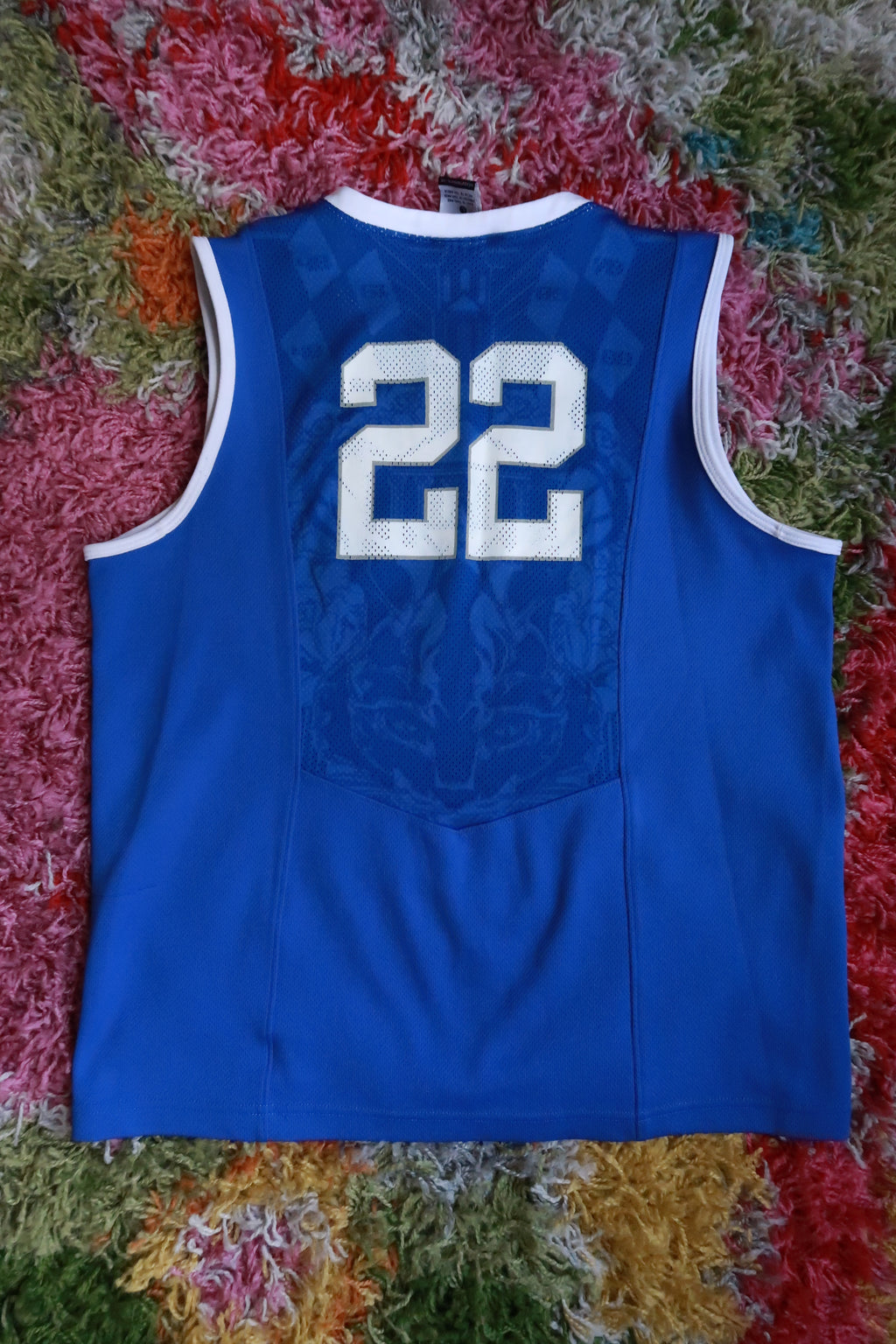 Vintage Nike Kentucky Wild Cats #22 Blue Basketball Jersey
