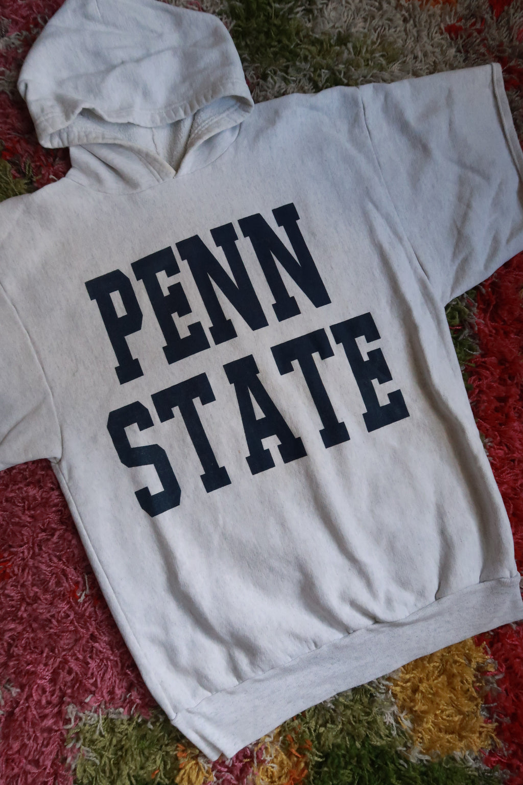 Vintage 90s Penn State Short Sleeve Hoodie