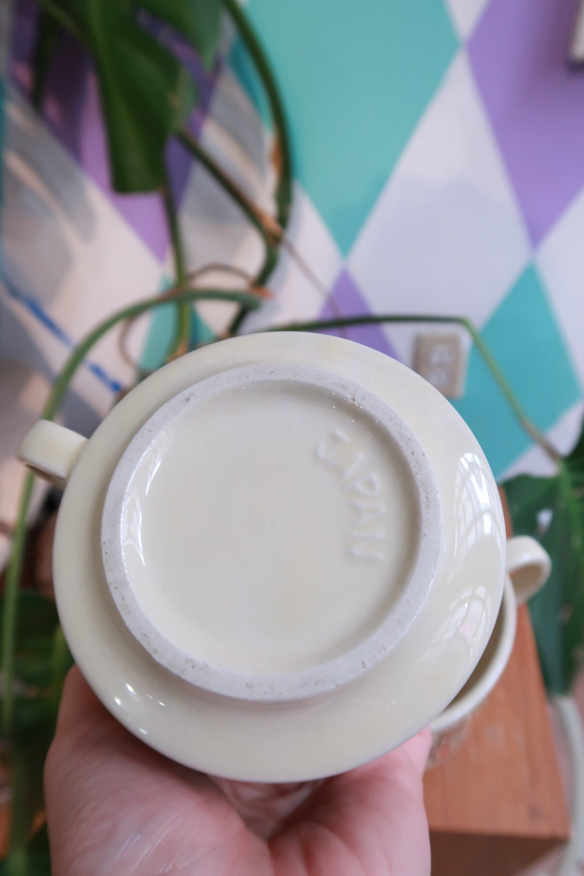 Vintage Elektra Vintage vegetable soup mug set with handles, featuring retro vegetable graphic design on ceramic bowls.