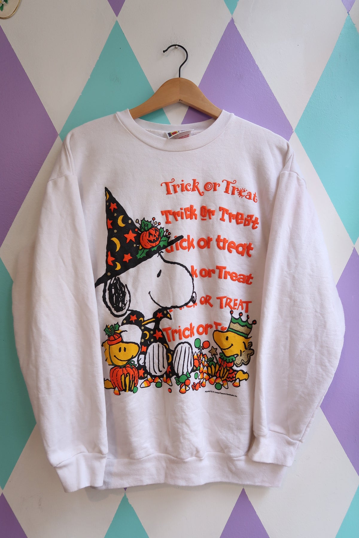 Vintage Snoopy Halloween “Trick or Treat” Sweatshirt