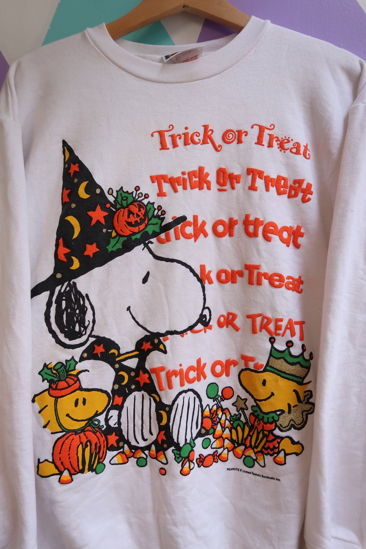 Vintage Snoopy Halloween “Trick or Treat” Sweatshirt