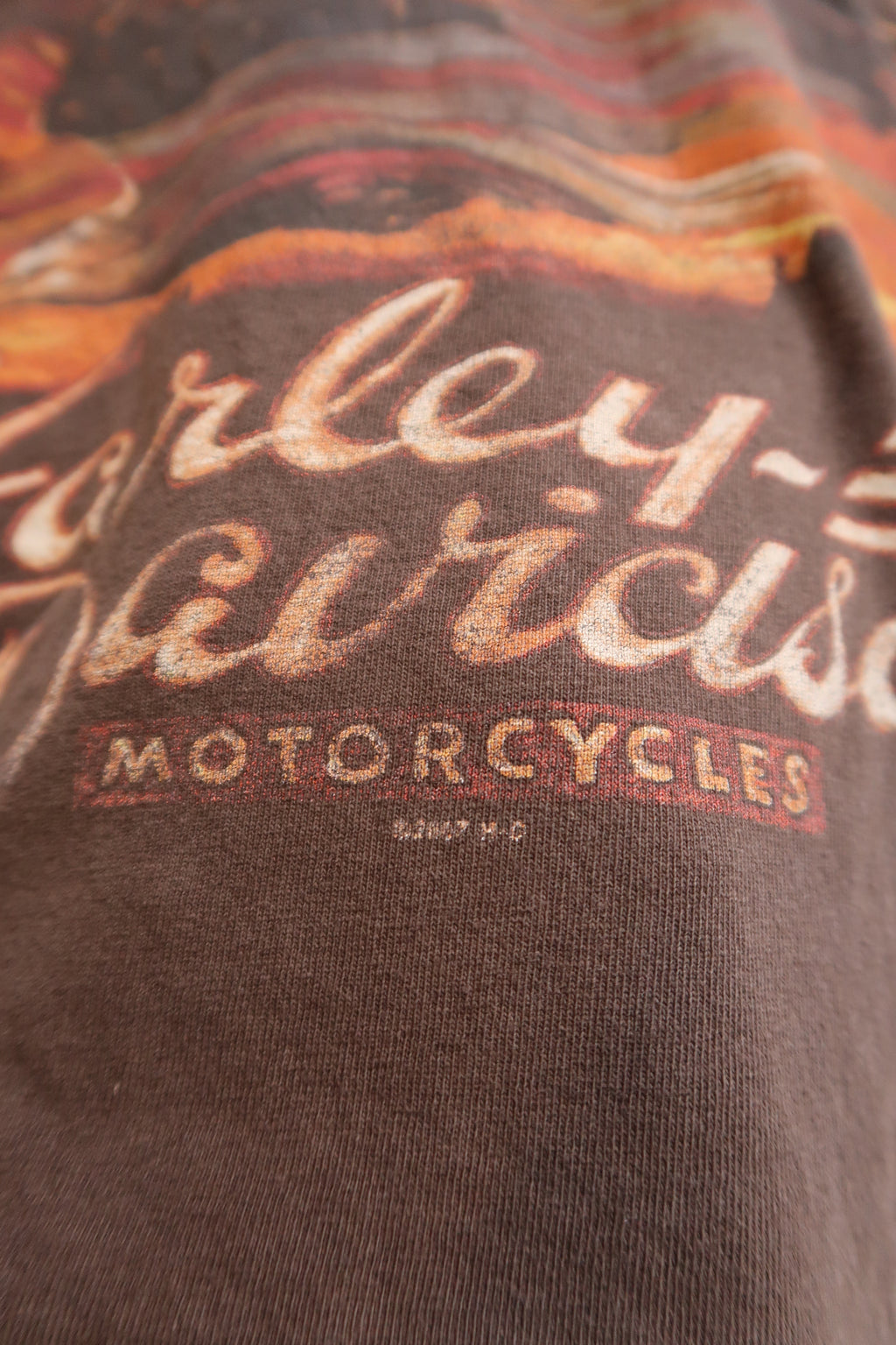 Vintage 2000s Harley-Davidson Brown Graphic Tee