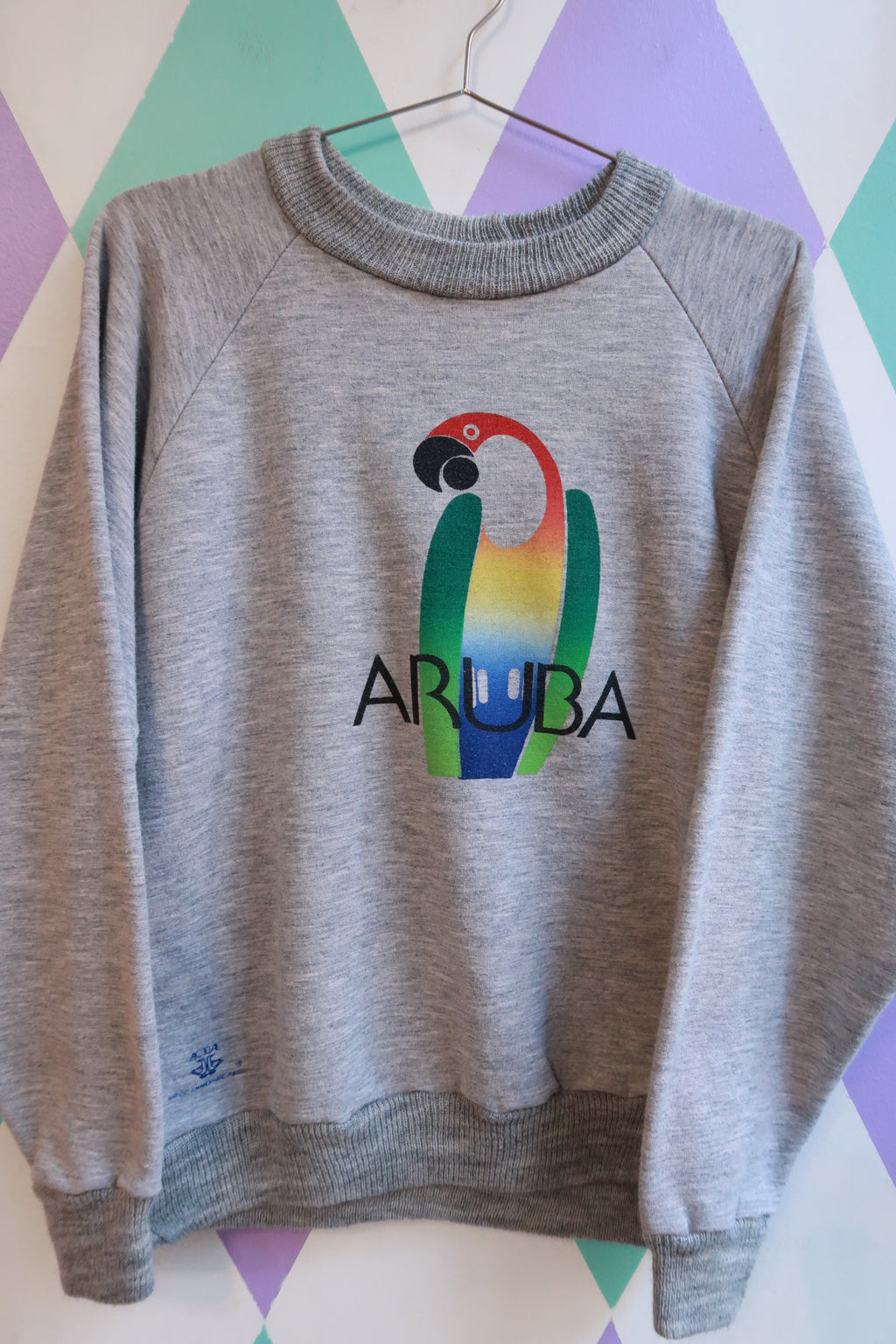 Men's Vintage Aruba Parrot graphic crewneck sweatshirt by Elektra Vintage, featuring a colorful tropical parrot design on soft fabric.