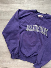 Load image into Gallery viewer, Vintage Seaside Park Embroidered Crewneck
